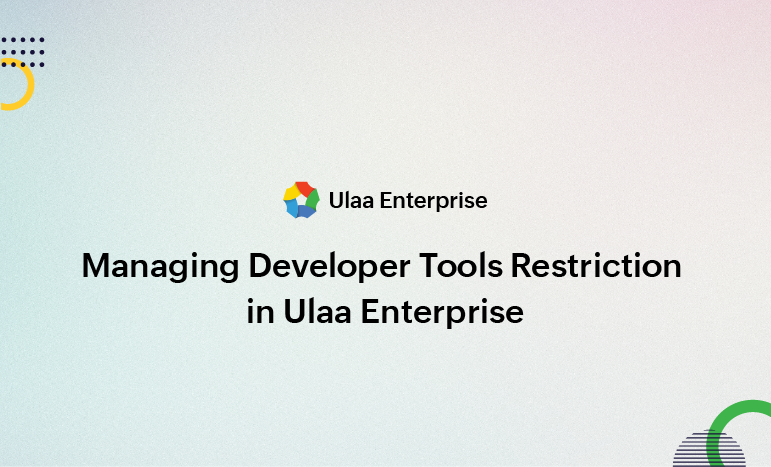 Dev Tools Restriction